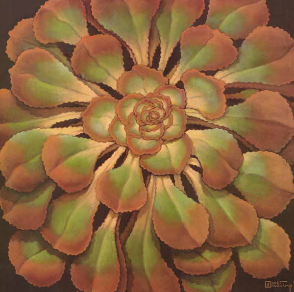 Succulent II by Janet Kruskamp - 24 X 24 Inches (Art Print)
