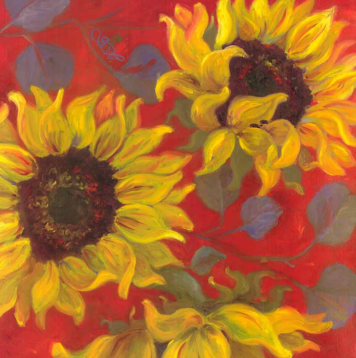 Sunflower II by Shari White - 24 X 24 Inches (Art Print)