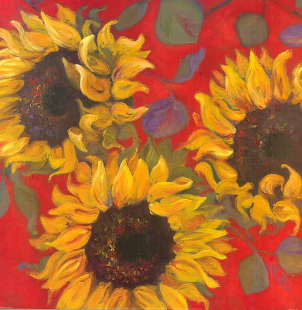 Sunflower I by Shari White - 24 X 24 Inches (Art Print)