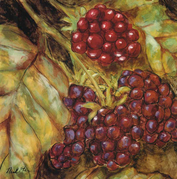 Ripening Berries by Nicole Etienne - 24 X 24 Inches (Art Print)