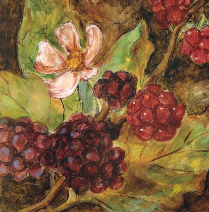 Red Berries & Blossom by Nicole Etienne - 24 X 24 Inches (Art Print)