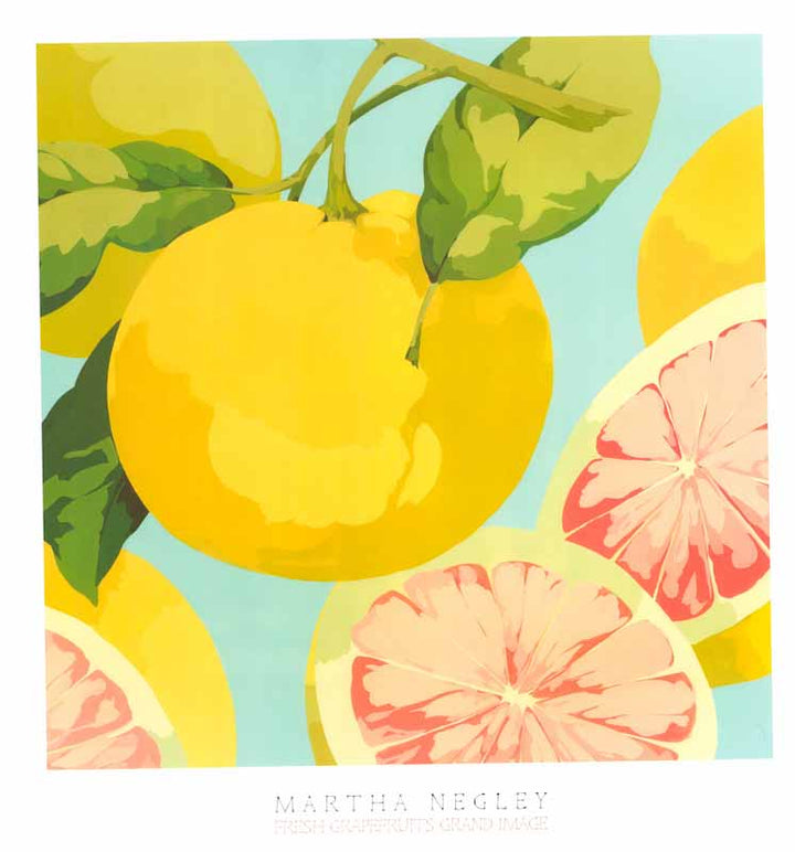 Fresh Grapefruits by Martha Negley - 28 X 29 Inches (Art Print)