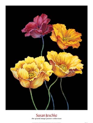 Midnight Bloom I by Susan Jeschke - 25 X 33 Inches (Art Print)