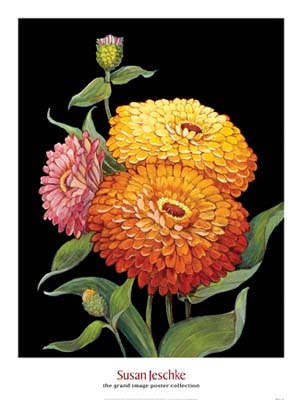 Midnight Bloom II by Susan Jeschke - 25 X 33 Inches (Art Print)