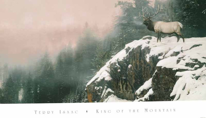 King of the Mountain by Terry Isaac - 21 X 36 Inches (Art Print)