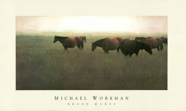 Brood Mares by Michael Workman - 24 X 39 Inches (Art Print)