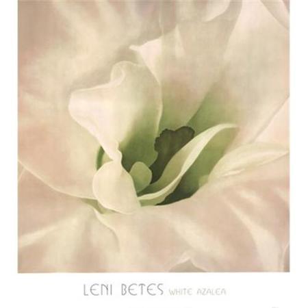 White Azalea by Leni Betes - 30 X 34 Inches (Art Print)