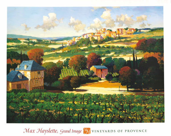 Vineyards of Provence by Max Hayslette - 36 X 44 Inches (Art Print)