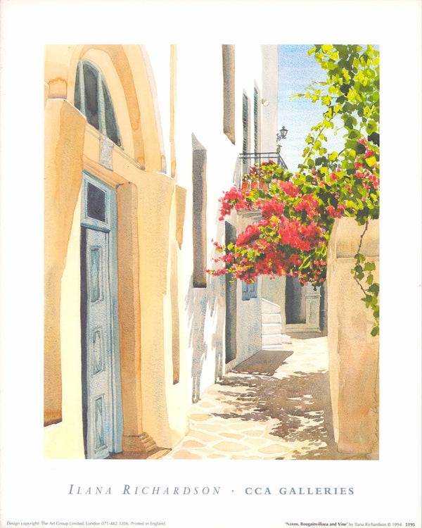 Naxos, Bougainvillaea and Vine by Ilana Richardson - 10 X 12 Inches (Art Print)