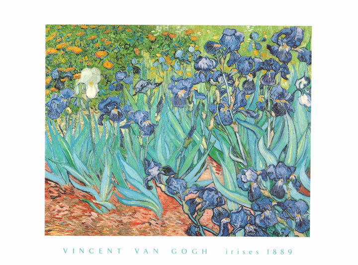 Irises, 1889 by Vincent Van Gogh - 24 X 32 Inches (Art Print)