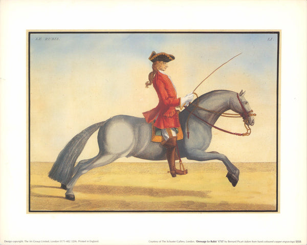 Dressage Le Rubis, 1737 by Bernard Picart - 10 X 12 Inches (Art Print)