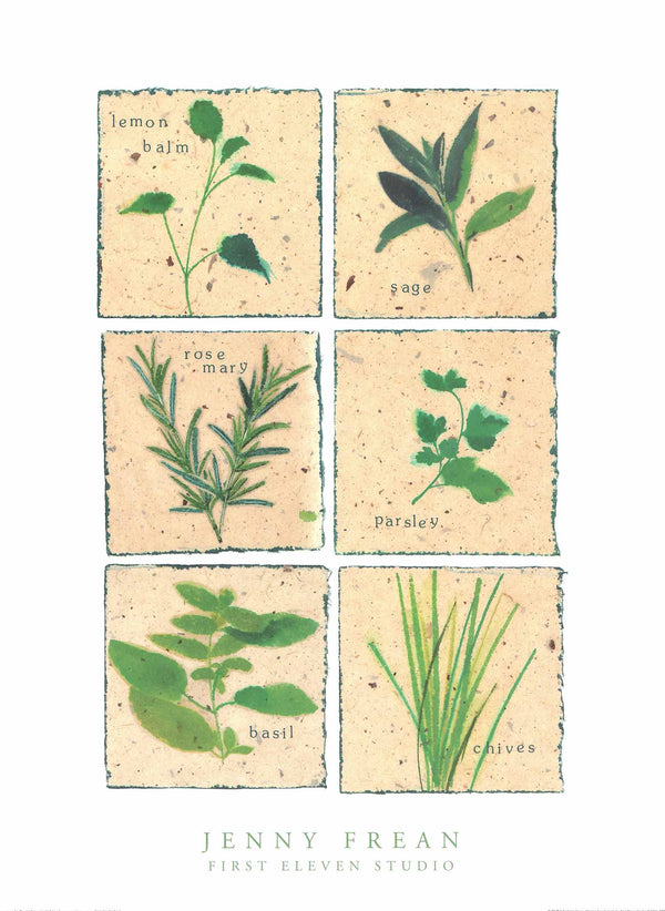 Six Herbs by Jenny Frean - 24 X 32 Inches (Art Print)