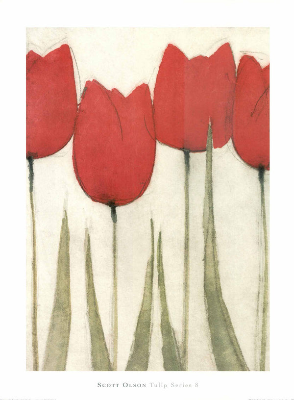 Tulip Series 8 by Scott Olson - 24 X 32 Inches (Art Print)