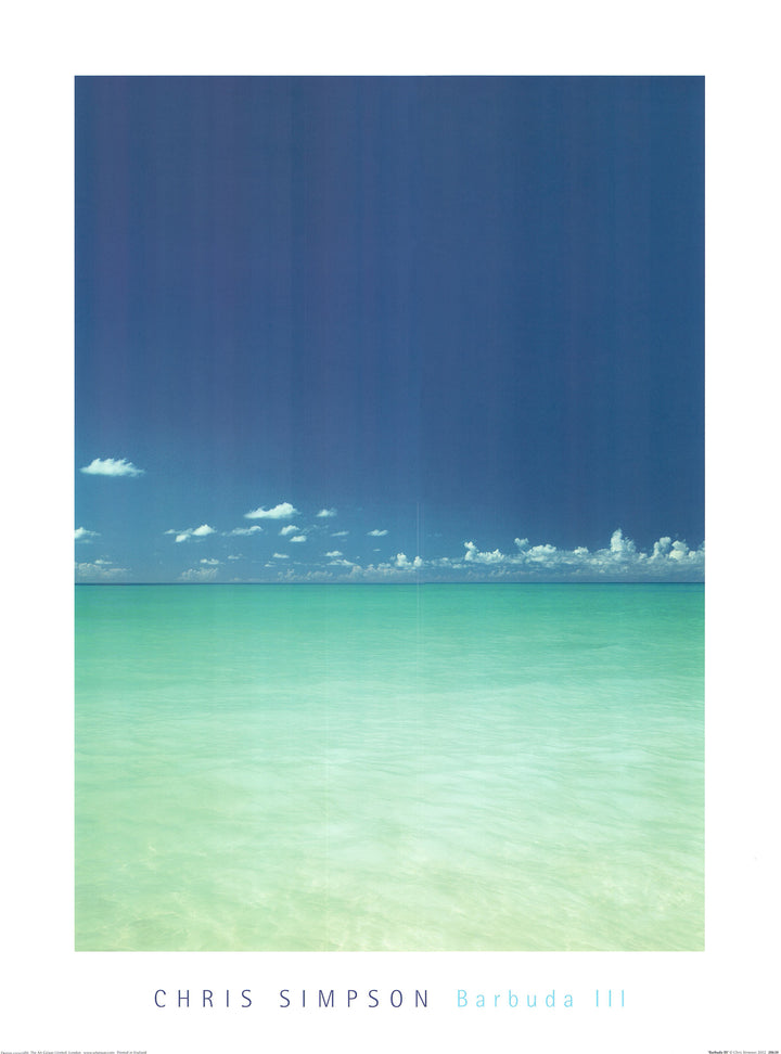 Barbuda III by Chris Simpson - 24 X 32 Inches (Art Print)