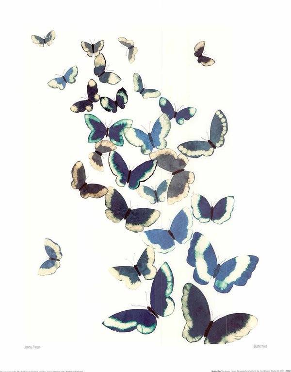 Butterflies by Jenny Frean - 16 X 20 Inches (Art Print)