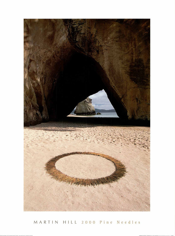 2000 Pine Needles Cathedral Cove, New Zealand by Martin Hill - 24 X 32 Inches (Art Print)