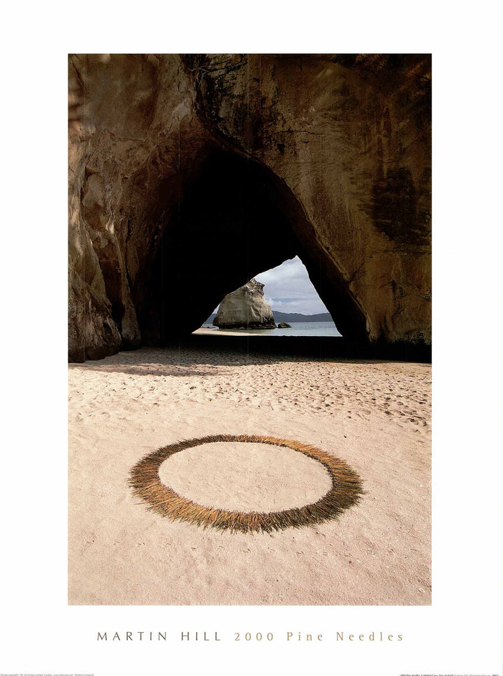 2000 Pine Needles Cathedral Cove, New Zealand by Martin Hill - 24 X 32 Inches (Art Print)