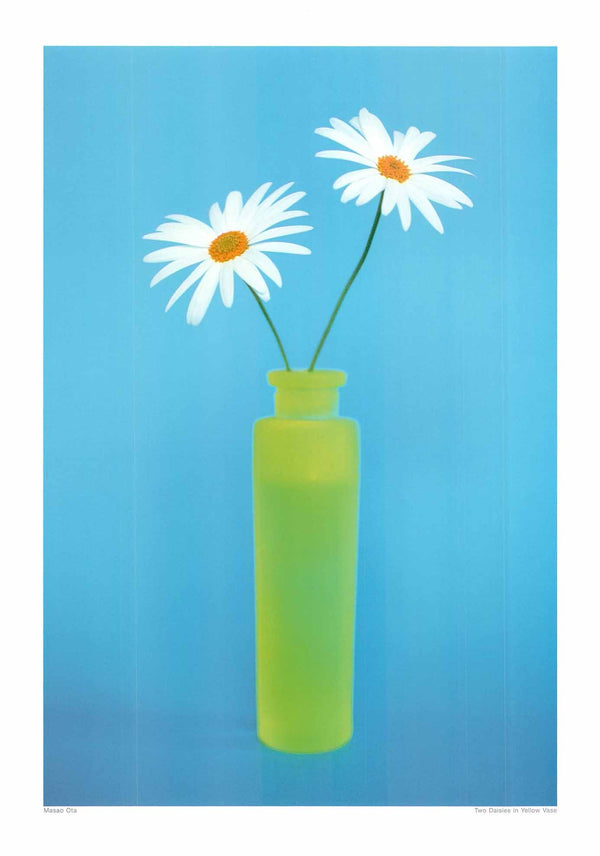 Two Daisies in Yellow Vase by Masao Ota - 20 X 28 Inches (Art Print)