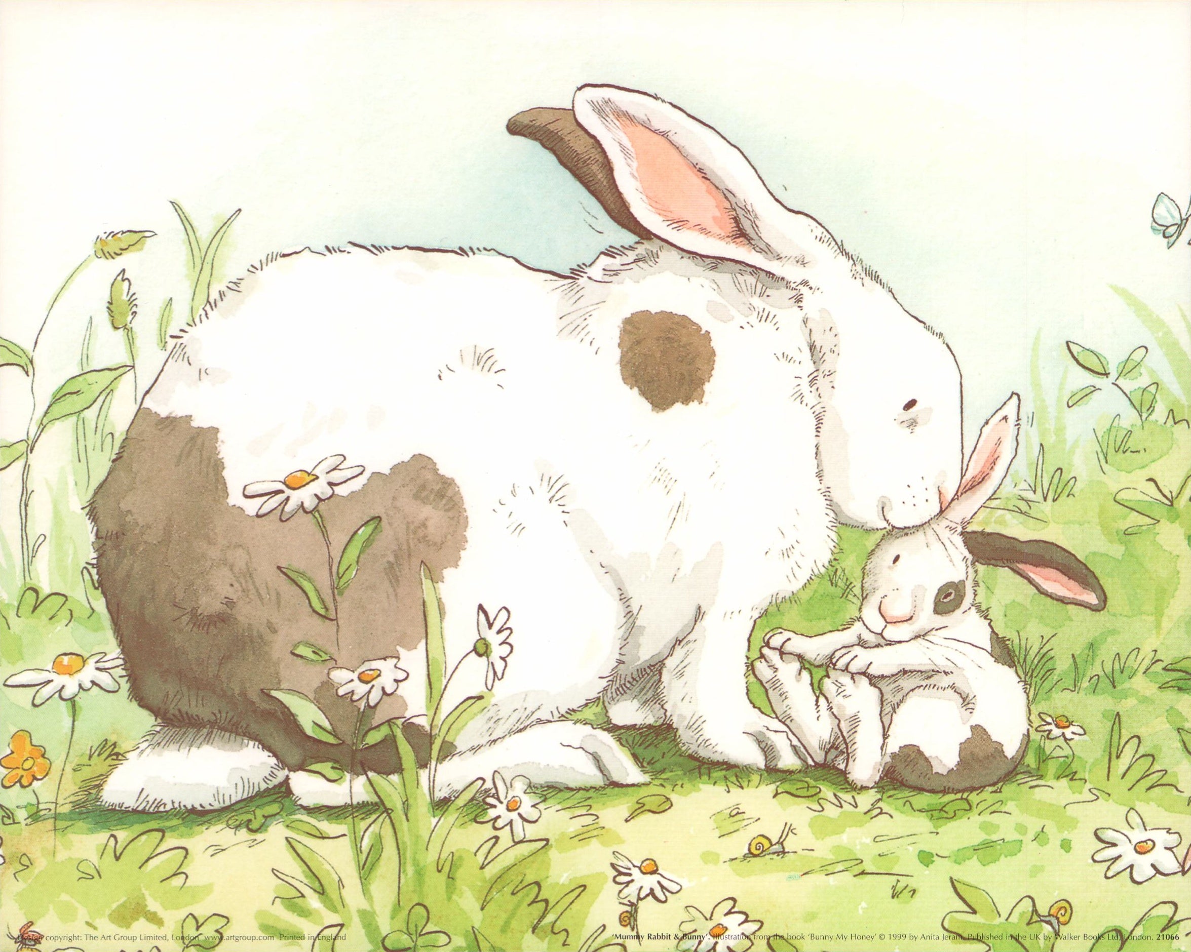 Mummy Catching Rabbit Mummy Rabbit & Bunny, 1999 by Anita Jeram - 10 X 12 Inches (Art Print ...