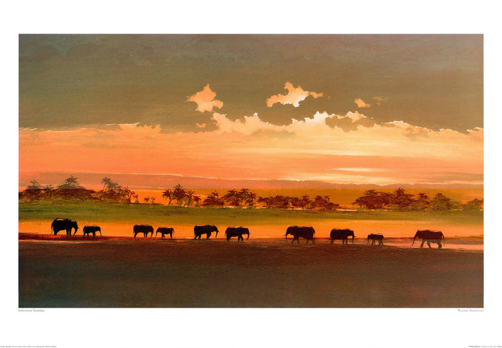 Wading Elephants, 2005 by Jonathan Sanders - 28 X 40 Inches (Art Print)