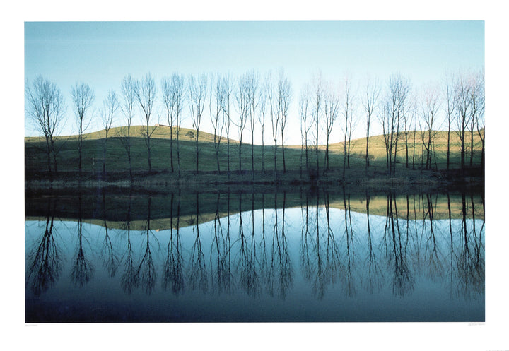 Lago Di San Valentino, 2007 by Franco Fontana - 28 X 40 Inches (Art Print)