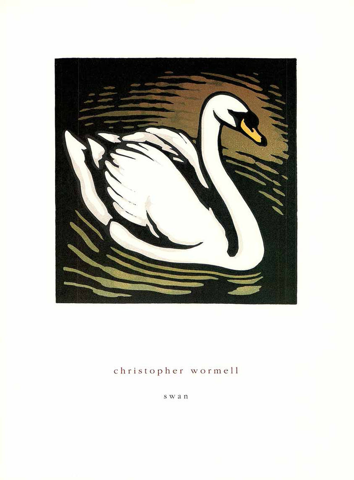 Swan by Christopher Wormell - 12 X 16 Inches (Art Print)