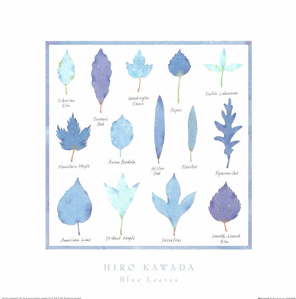 Blue Leaves by Hiromi Kawada - 16 X 16 Inches (Fine Art Print)