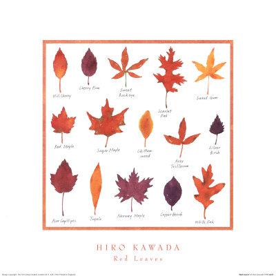 Red Leaves by Hiromi Kawada - 16 X 16 Inches - Fine Art Print.