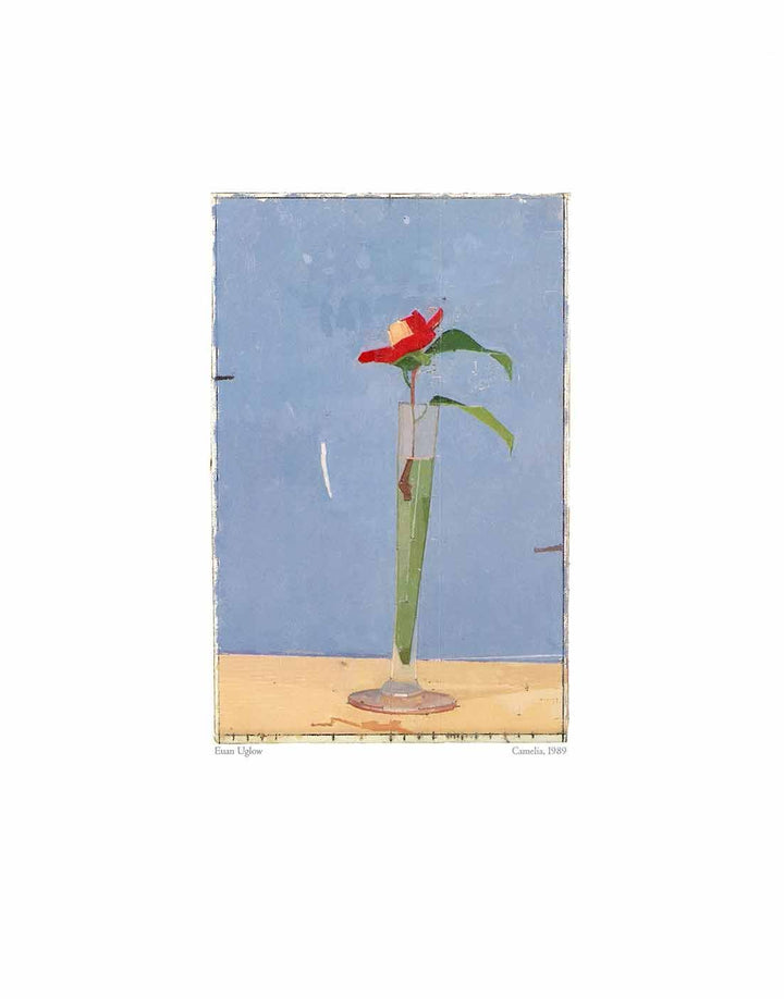 Camelia by Euan Uglow - 12 X 16 Inches (Art Print)