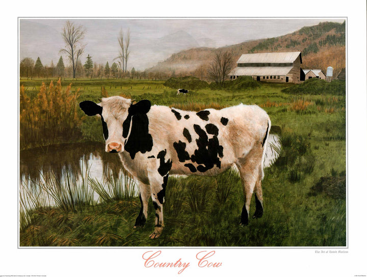 Country Cow, 1991 by David Maclean - 27 X 35 Inches (Art Print)