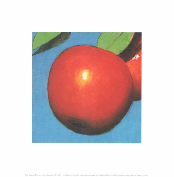 Pommes Rouges, 1999 by Marc Tanguy - 12 X 12 Inches (Art Print)