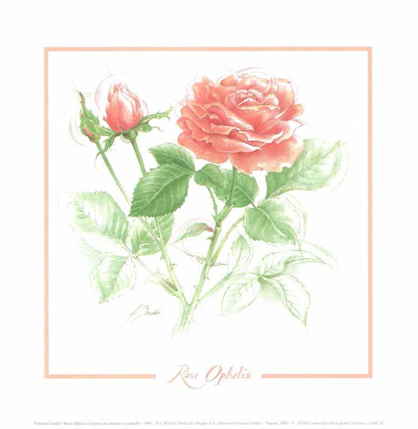 Rose Ophelia 1999, by Florence Gendre - 12 X 12 Inches (Art Print)