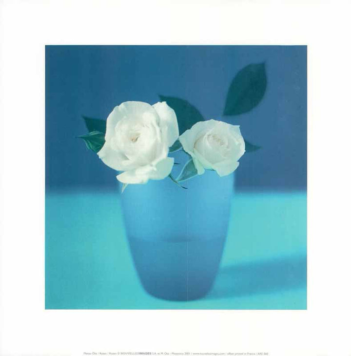 Roses 2001, by Masao Ota - 12 X 12 Inches (Art Print)