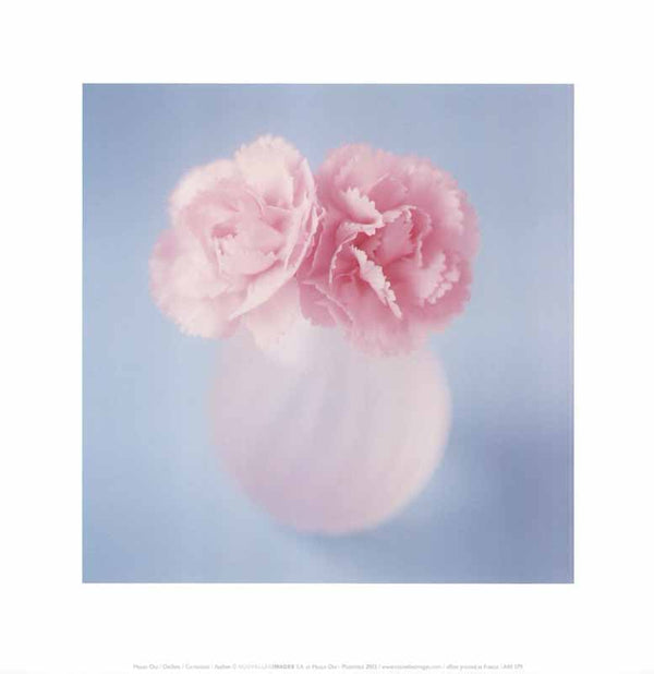 Carnations 2002, by Masao Ota - 12 X 12 Inches (Art Print)