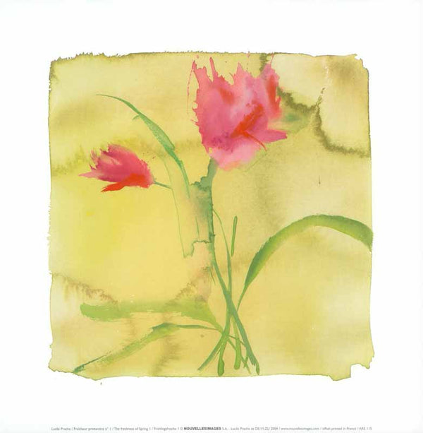 The Freshness of Spring I, 2004 by Lucile Prache - 12 X 12 Inches (Art Print)