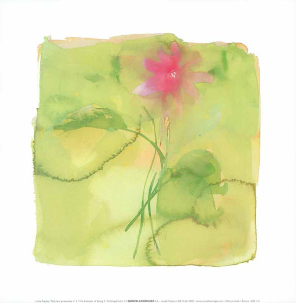 Freshness of Spring II, 2004 by Lucile Prache - 12 X 12 Inches (Art Print)