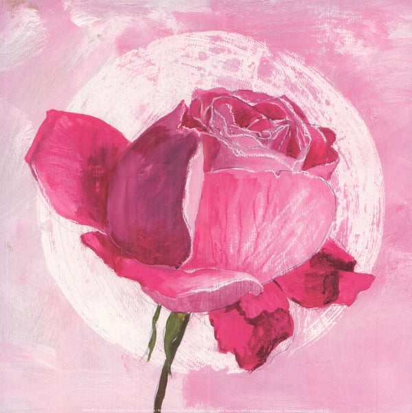 Rose on a white Dot by Valérie Roy - 12 X 12 Inches (Art Print)