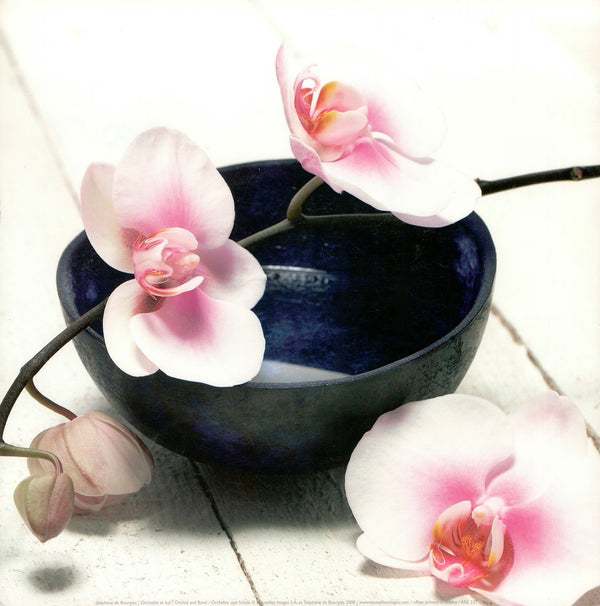 Orchid and Bowl by Stéphane de Bourgies - 12 X 12 Inches (Art Print)