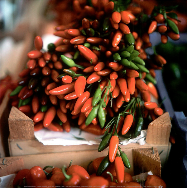 Red and green Chillis by Eising - 12 X 12 Inches (Art Print)