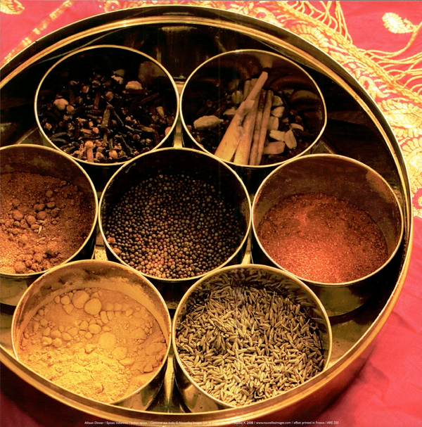 Indian spices by Allison Dinner - 12 X 12 Inches (Art Print)