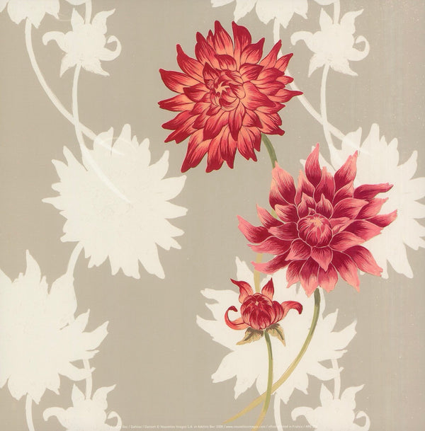 Dahlias by Adeline Bec - 12 X 12 Inches (Art Print)
