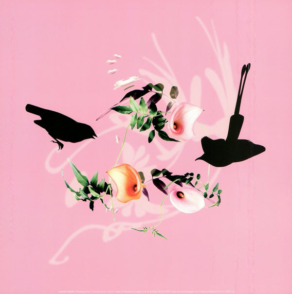 Jasmine bird, 2008 by Isabelle Menin - 12 X 12 Inches (Art Print)