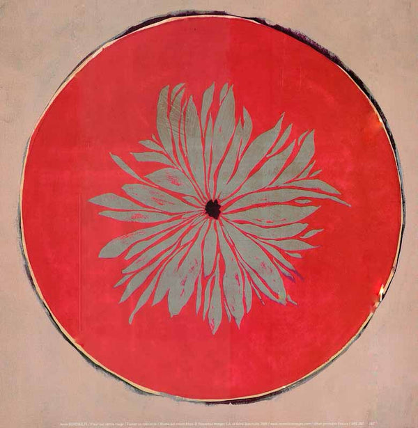 Flower on Red Circle by Anna Buschulte - 12 X 12 Inches (Art Print)