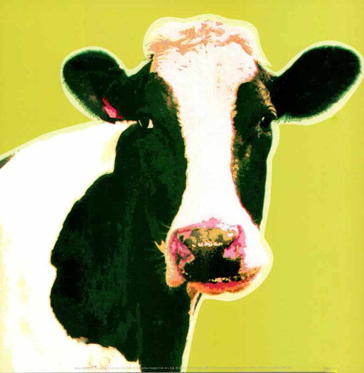 The Cow by Brian Brown - 12 X 12 Inches (Art Print)