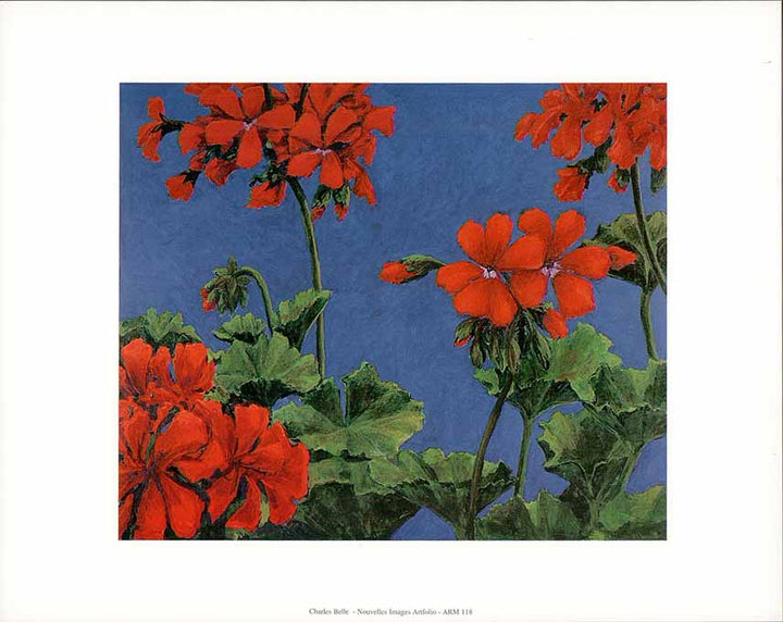 Geranium without Words (detail), 1987 by Charles Belle - 10 X 12 Inches (Art Print)