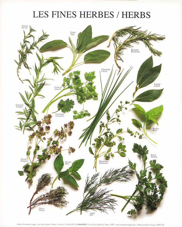 Herbs by Atelier Nouvelles Images - 10 X 12 Inches (Art Print)