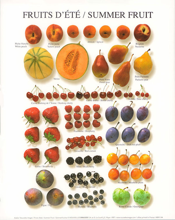 Summer fruit by Atelier Nouvelles Images - 10 X 12 Inches (Art Print)