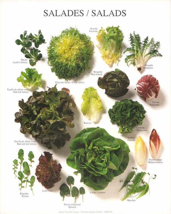 Salads by Atelier Nouvelles Images - 10 X 12 Inches (Art Print)