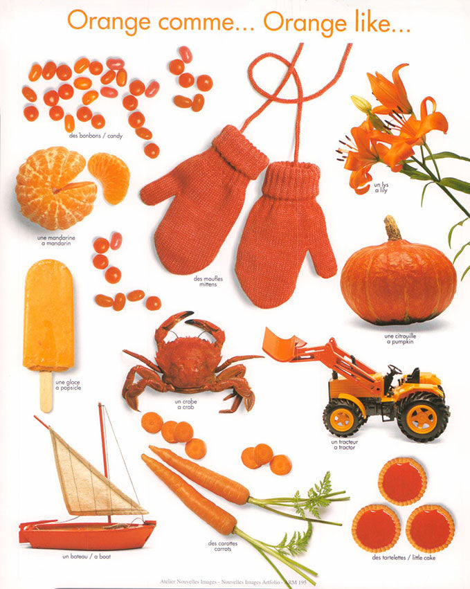 Orange like... by Atelier Nouvelles Images - 10 X 12 Inches (Art Print)