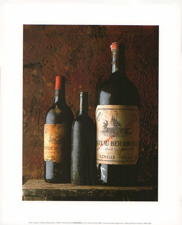 Château Beychevelle 1990 by Peter Knaup - 10 X 12 Inches (Art Print)